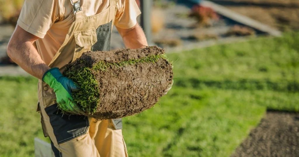 Jardinier gazon naturel en rouleau