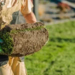 Jardinier gazon naturel en rouleau