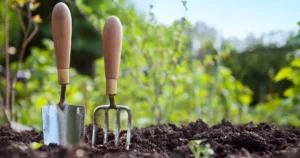 préparer le printemps du jardin